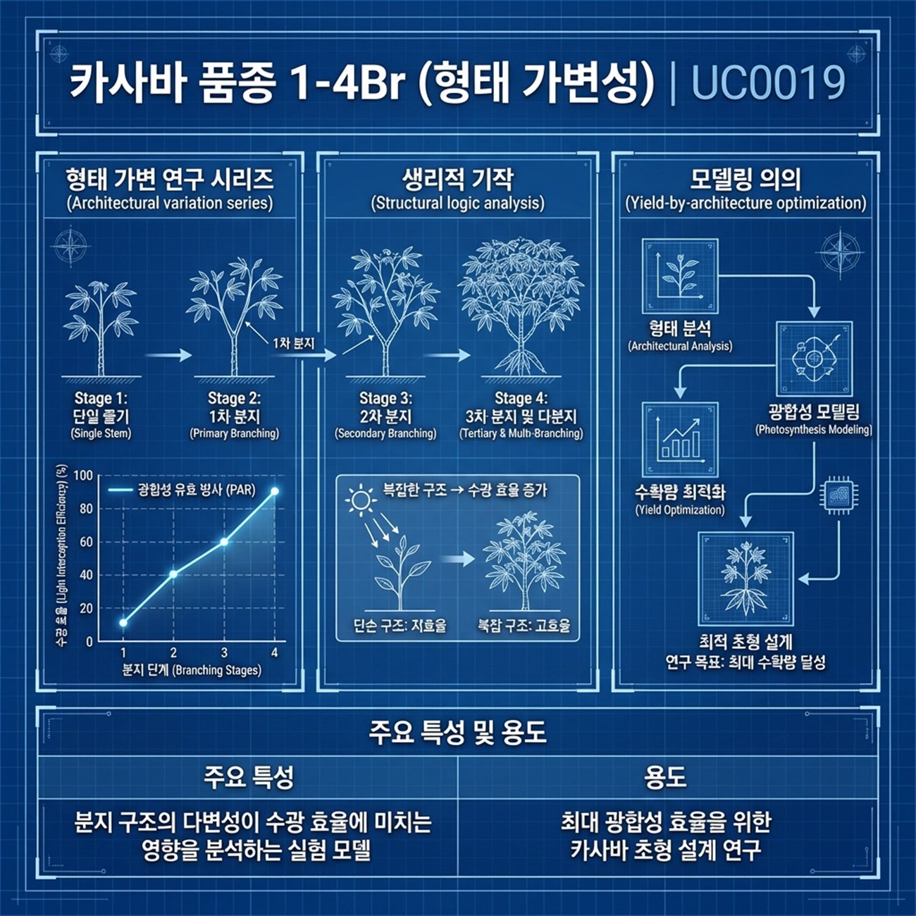 Genetic Coefficients Infographic