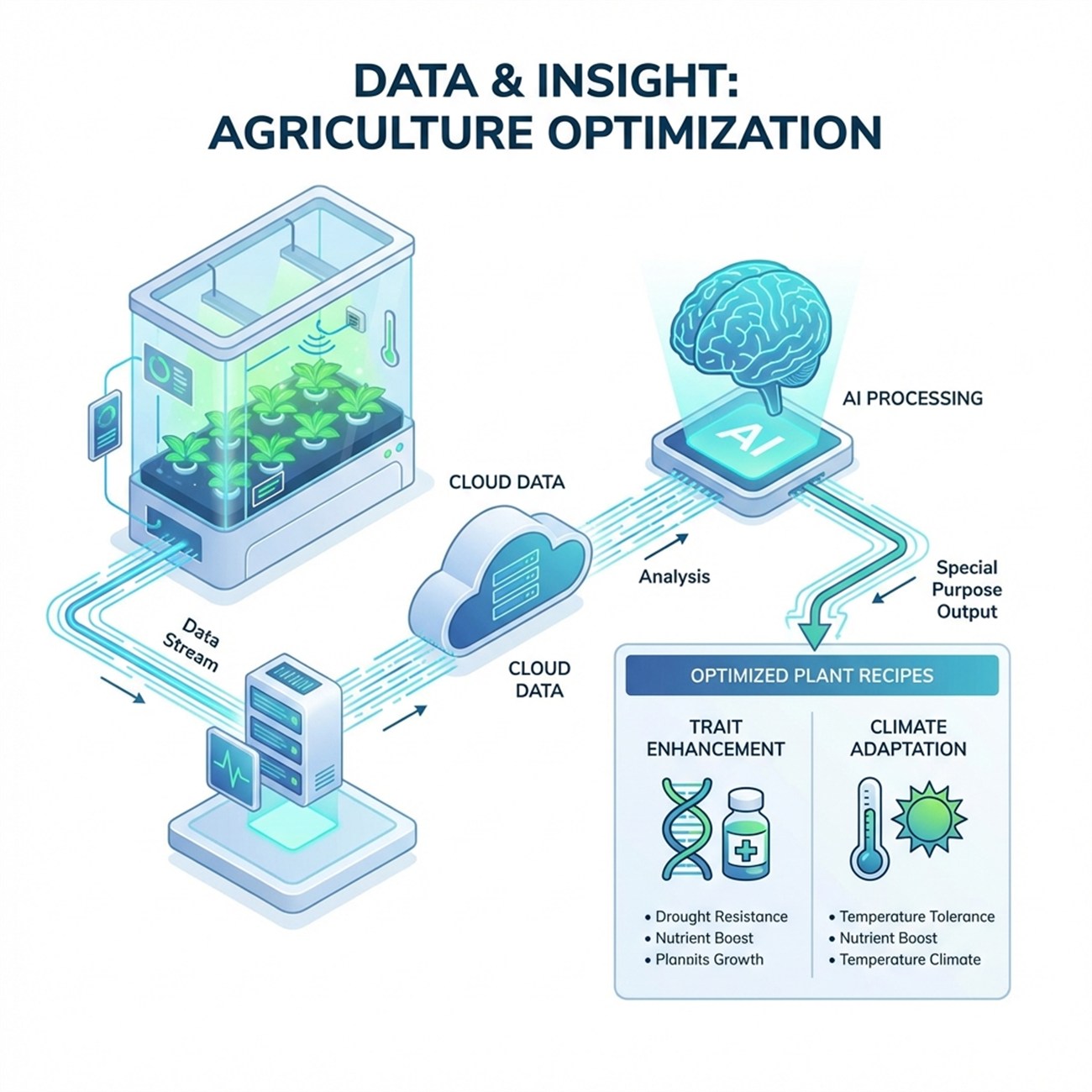 Data & Insight Infographic